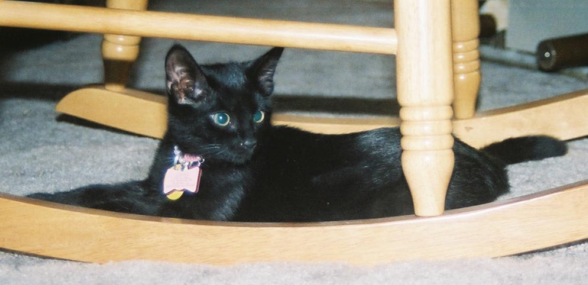 Mishka