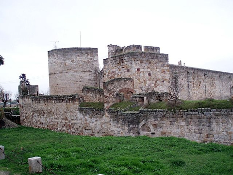 Eduardo Alberto Sánchez Ferrezuelo - Castillo de Zamora (2006)